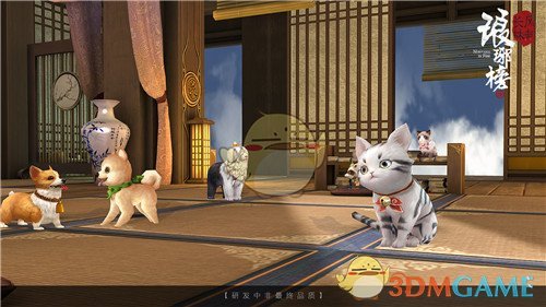 张泽禹金发皮衣太权威了